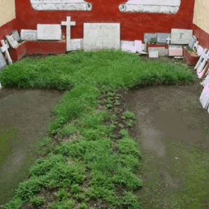 Iglesia y Ex Convento de la Cruz de Zacate